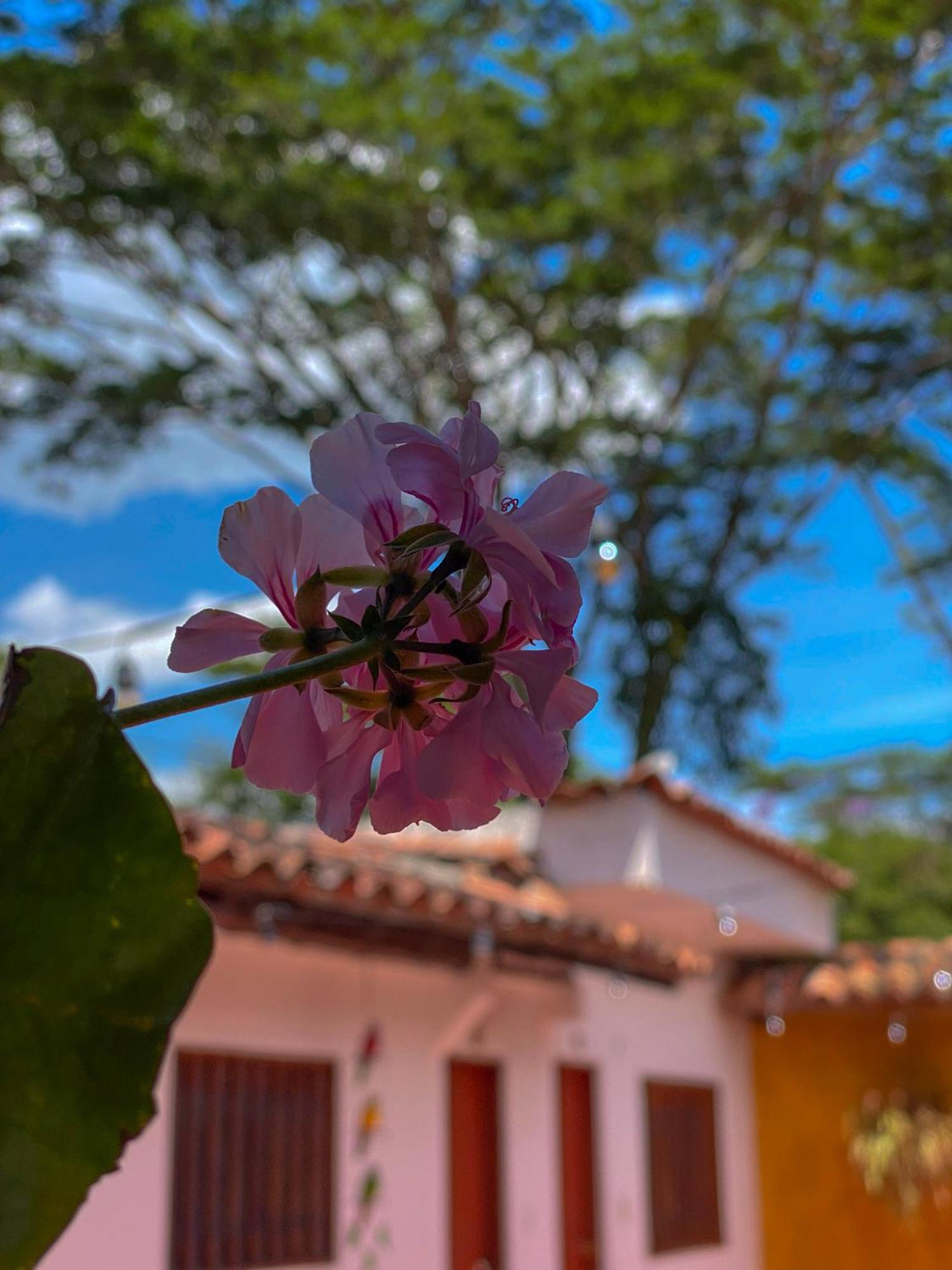 Hotel Campestre La Trinidad San Gil Exteriér fotografie